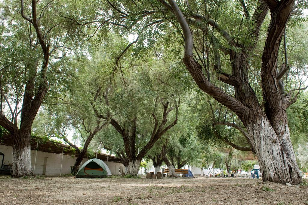 Camping Koula Парос Номер фото